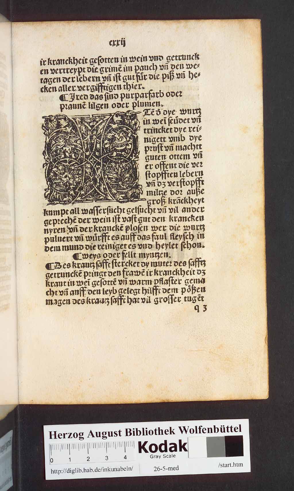 http://diglib.hab.de/inkunabeln/26-5-med/00247.jpg
