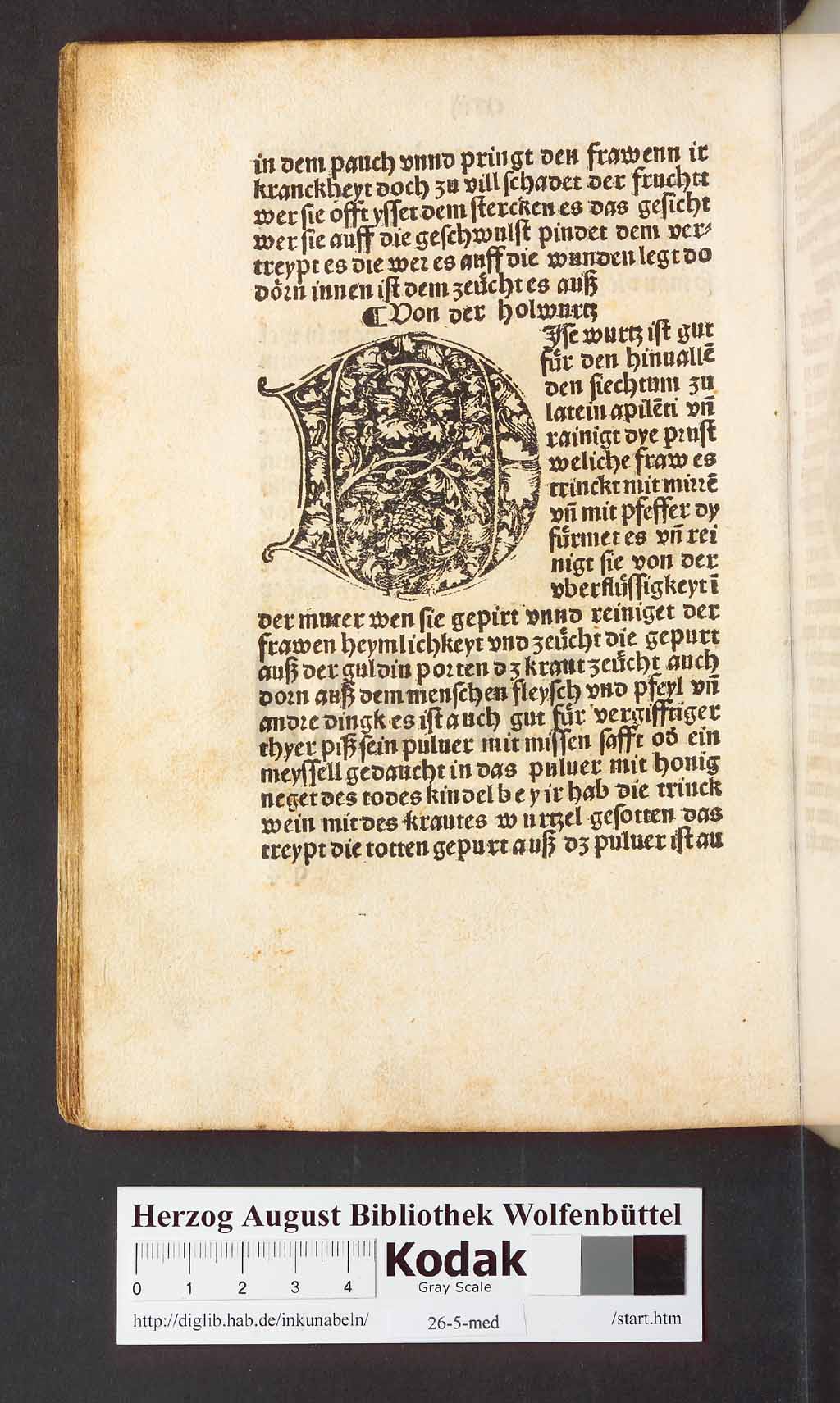 http://diglib.hab.de/inkunabeln/26-5-med/00250.jpg