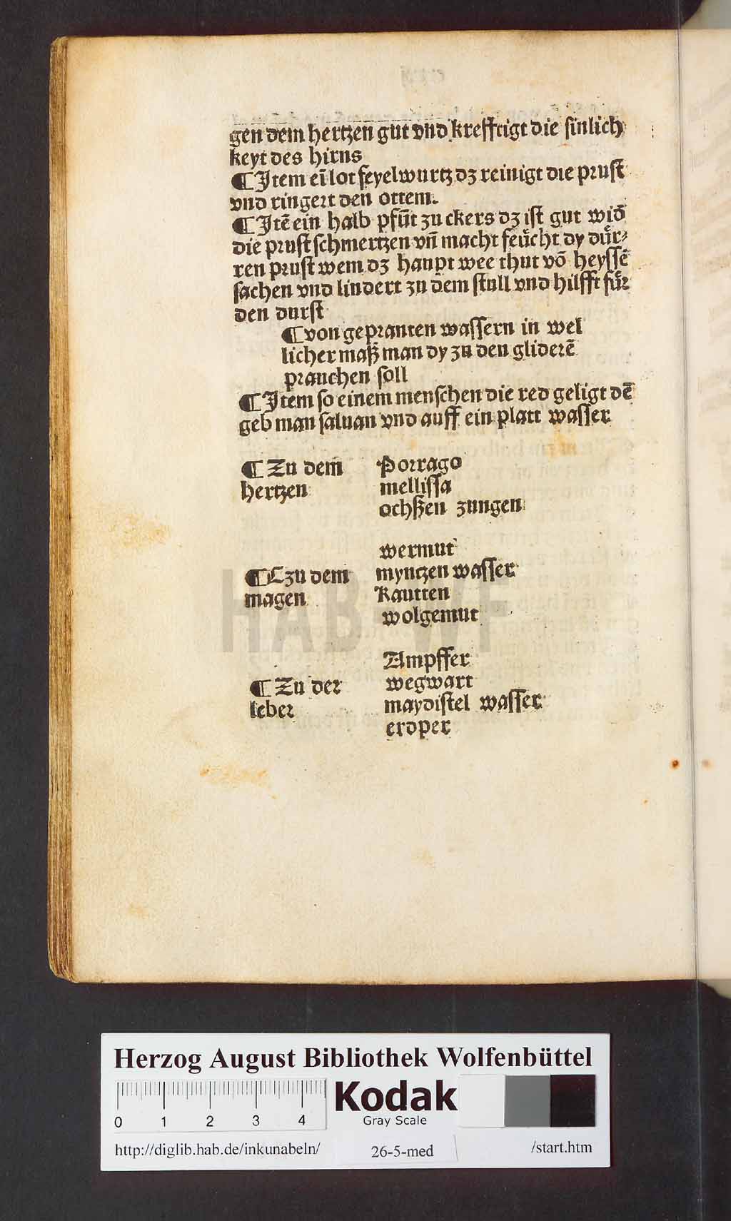 http://diglib.hab.de/inkunabeln/26-5-med/00256.jpg