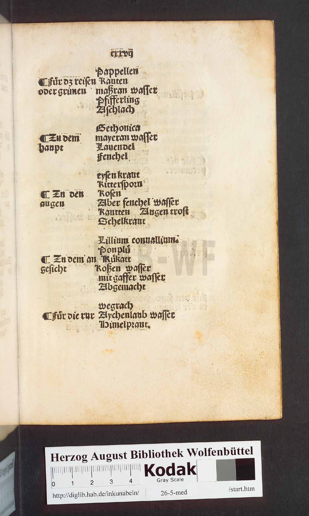 http://diglib.hab.de/inkunabeln/26-5-med/00257.jpg