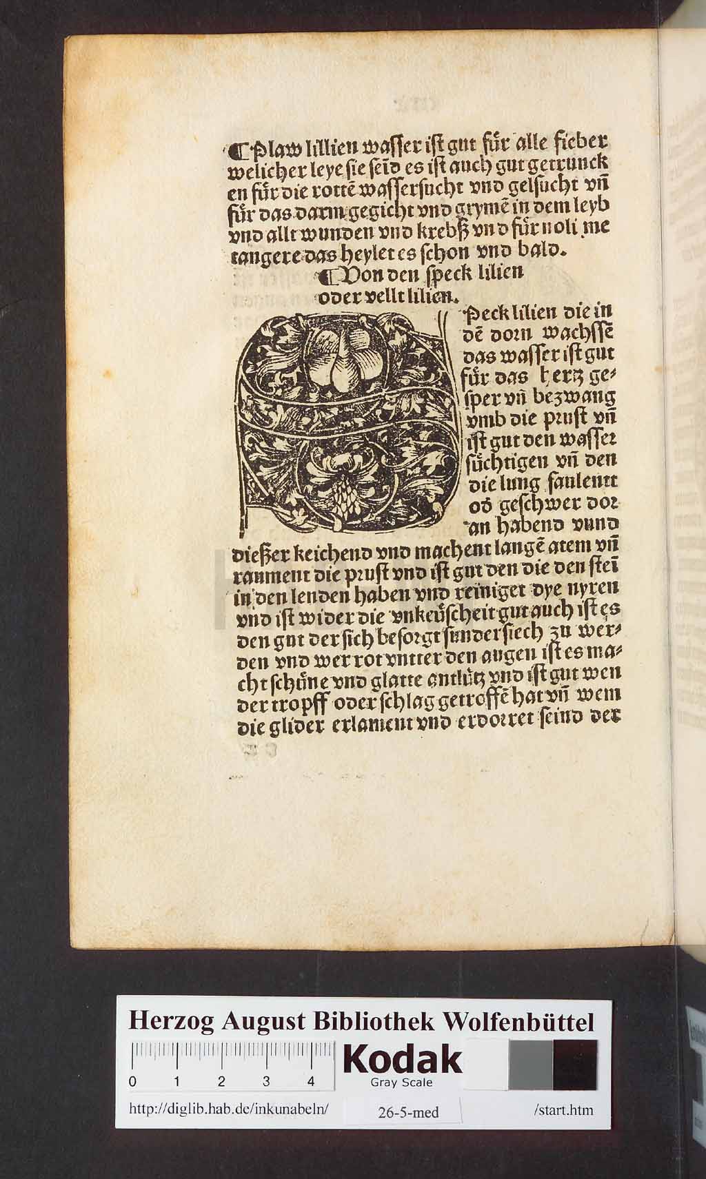 http://diglib.hab.de/inkunabeln/26-5-med/00262.jpg