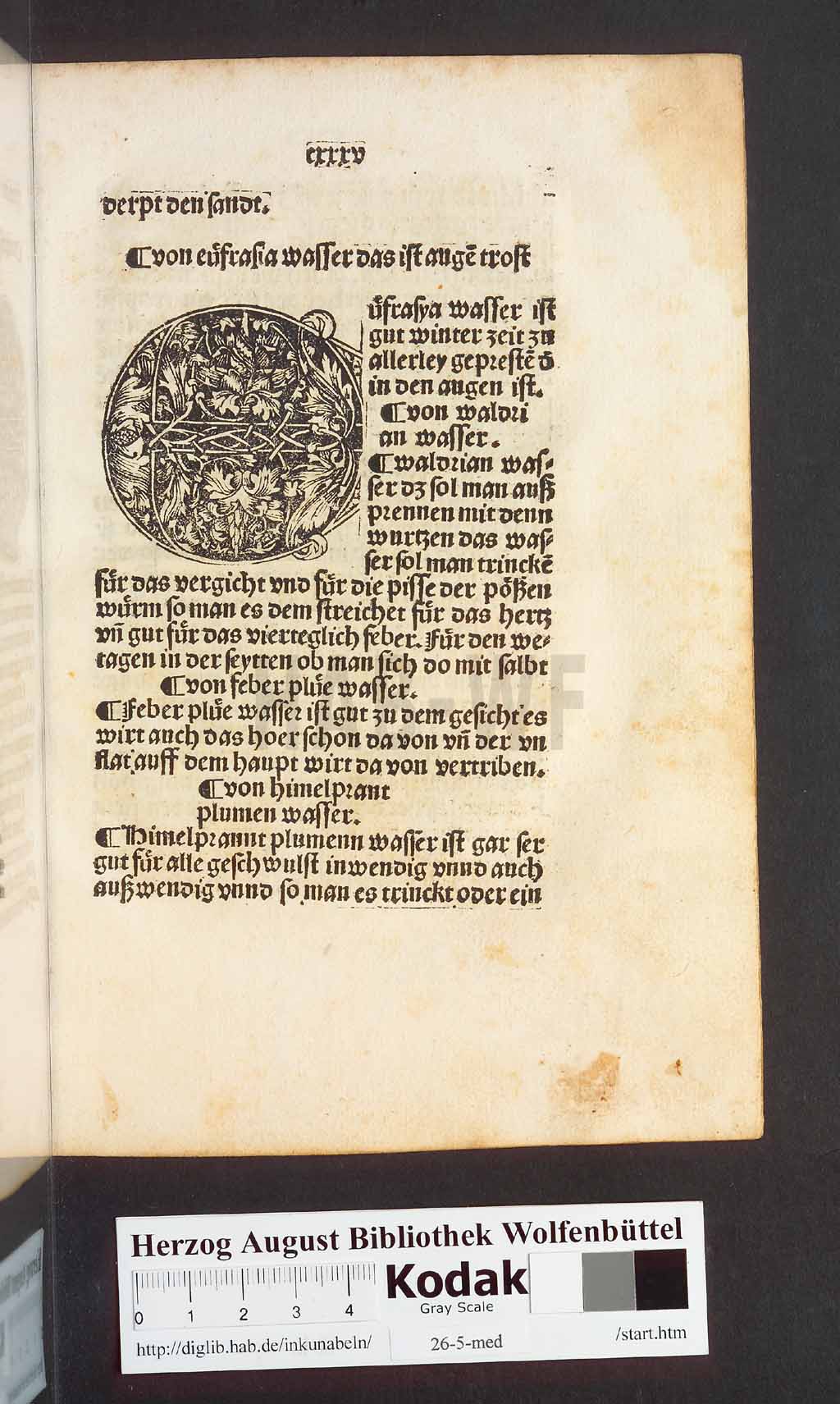 http://diglib.hab.de/inkunabeln/26-5-med/00273.jpg