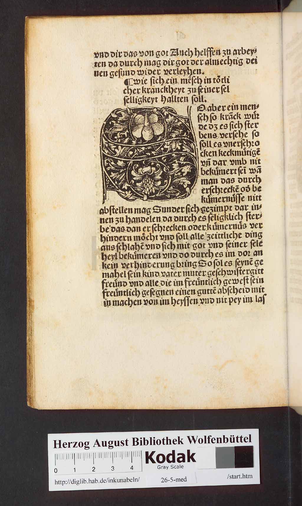 http://diglib.hab.de/inkunabeln/26-5-med/00306.jpg