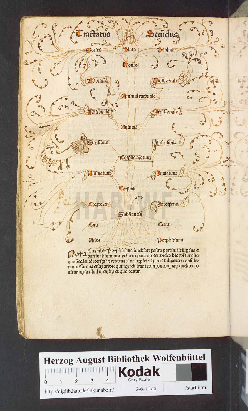 http://diglib.hab.de/inkunabeln/3-6-1-log/00172.jpg