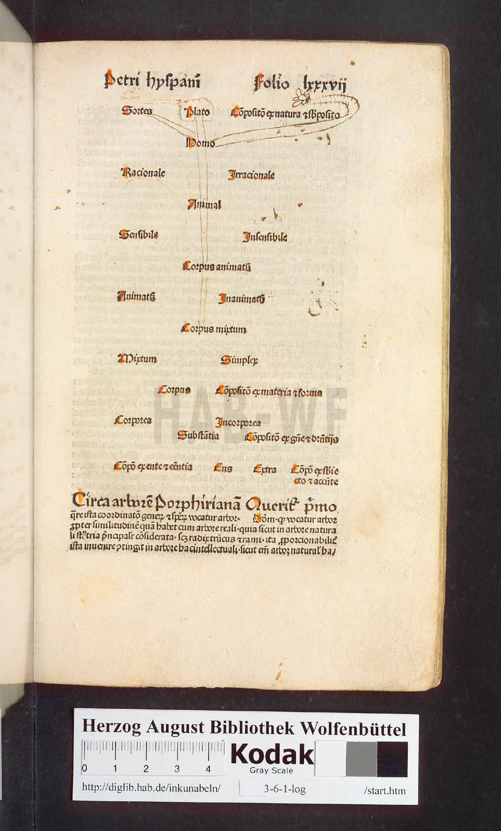 http://diglib.hab.de/inkunabeln/3-6-1-log/00173.jpg