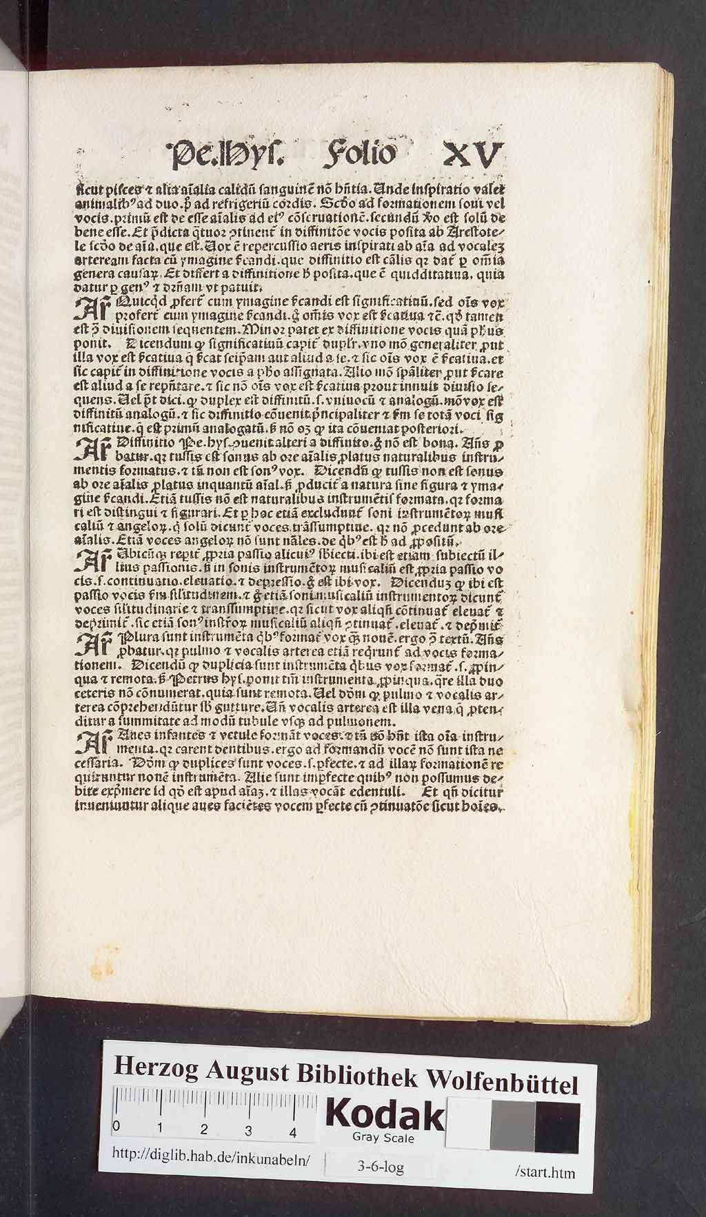 http://diglib.hab.de/inkunabeln/3-6-log/00033.jpg