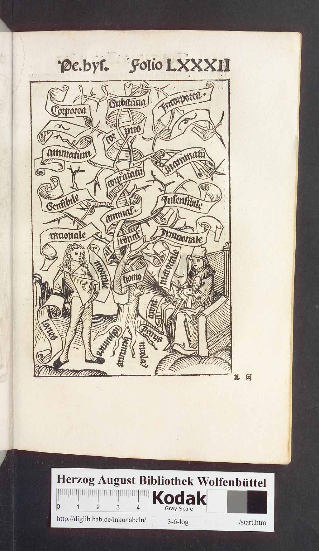http://diglib.hab.de/inkunabeln/3-6-log/00167.jpg