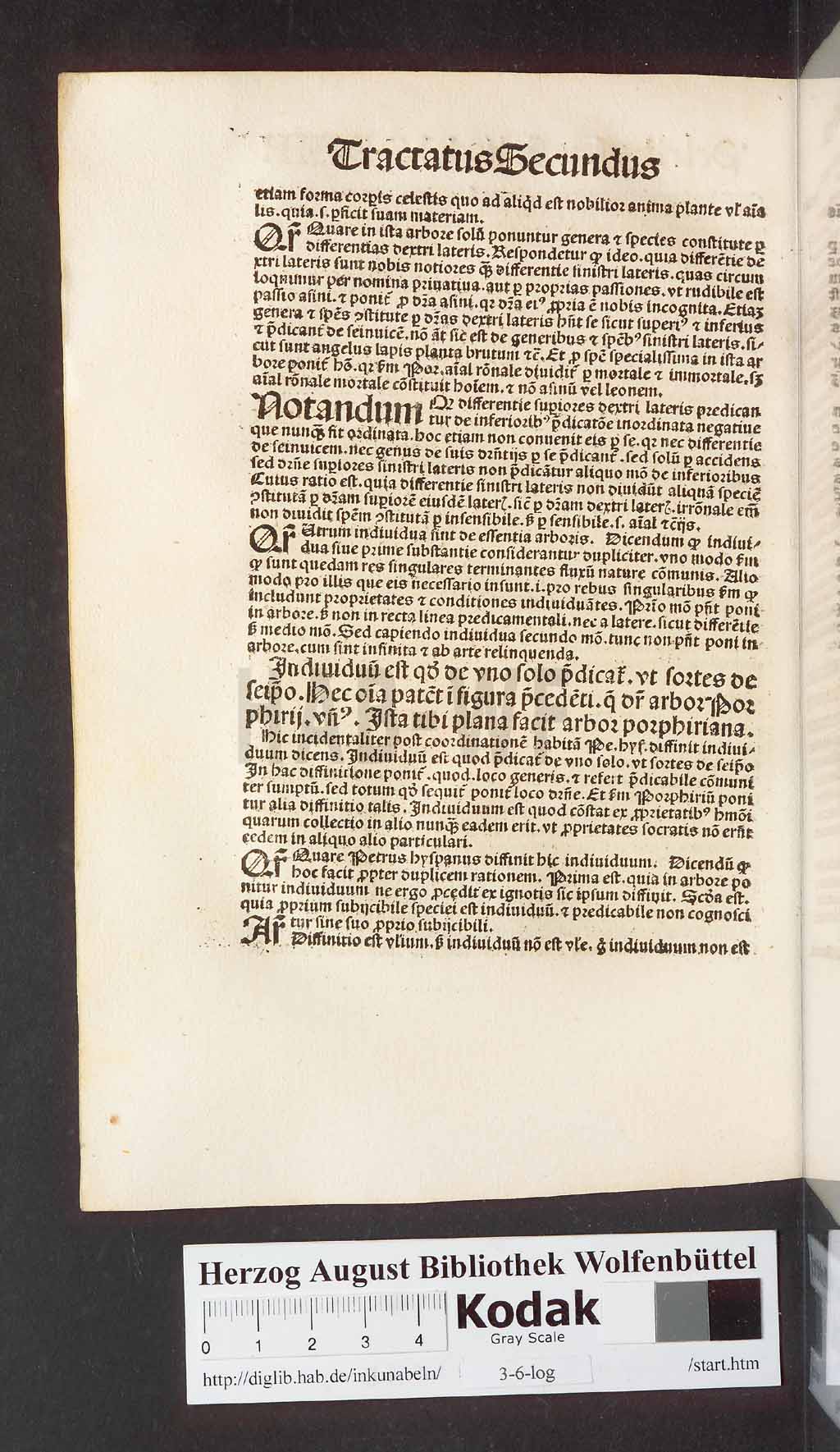http://diglib.hab.de/inkunabeln/3-6-log/00172.jpg