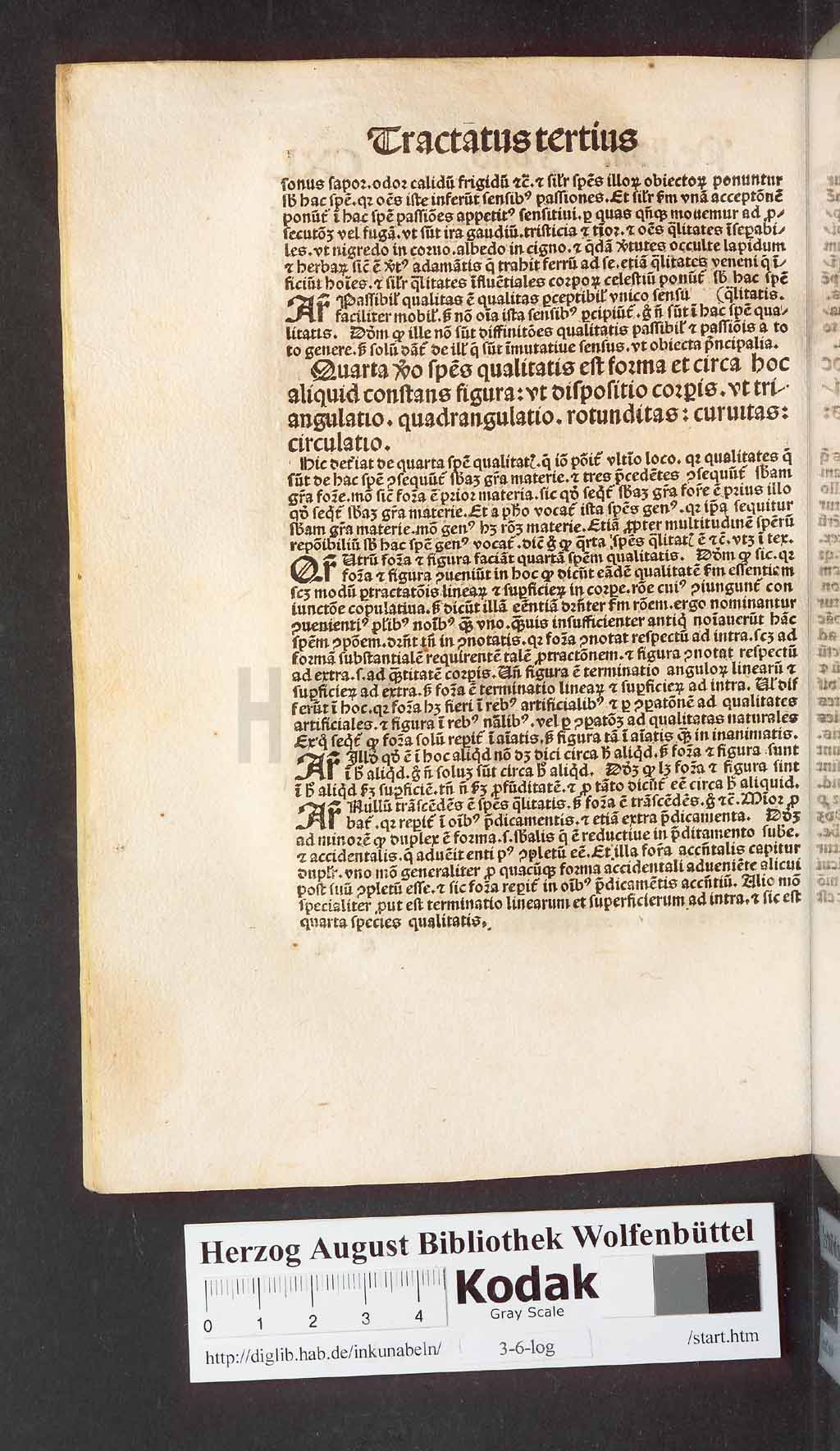 http://diglib.hab.de/inkunabeln/3-6-log/00282.jpg