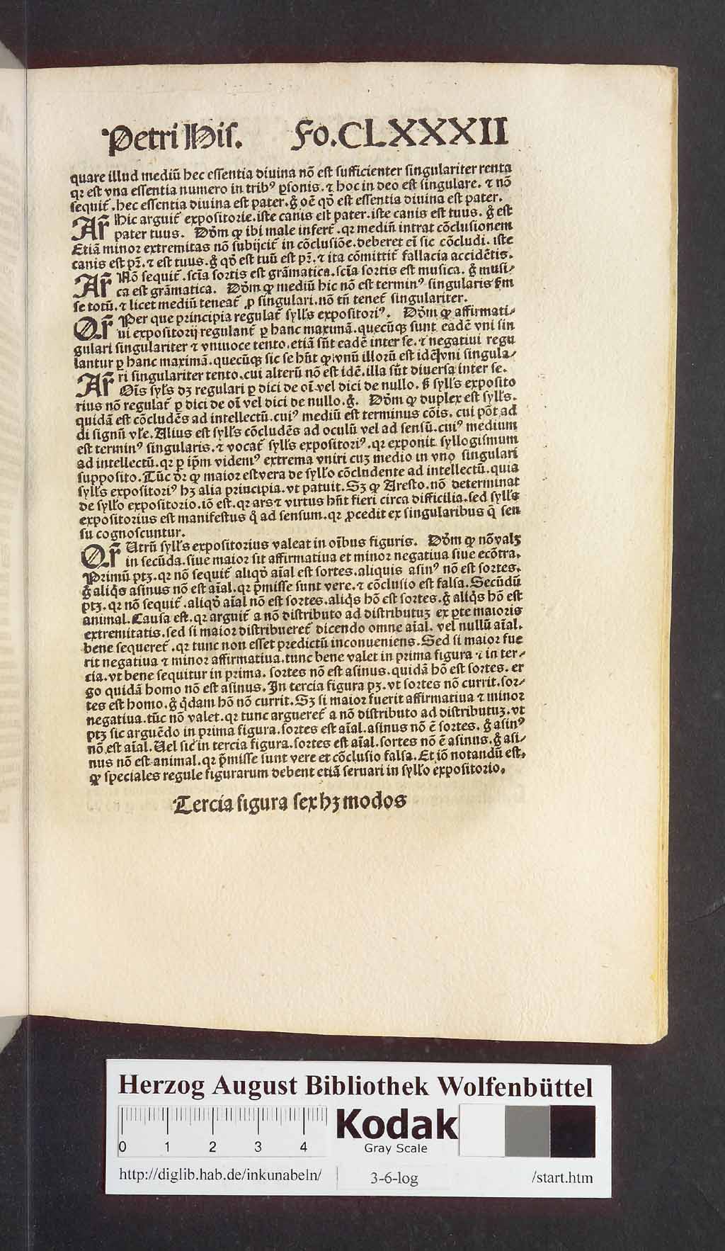 http://diglib.hab.de/inkunabeln/3-6-log/00363.jpg