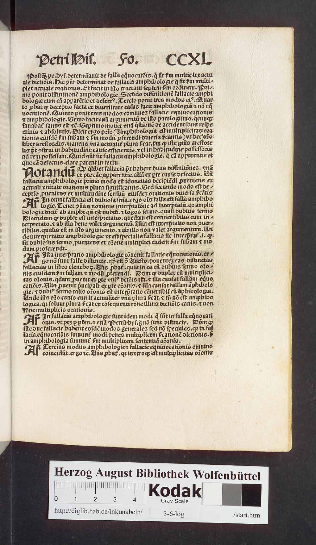 http://diglib.hab.de/inkunabeln/3-6-log/00479.jpg