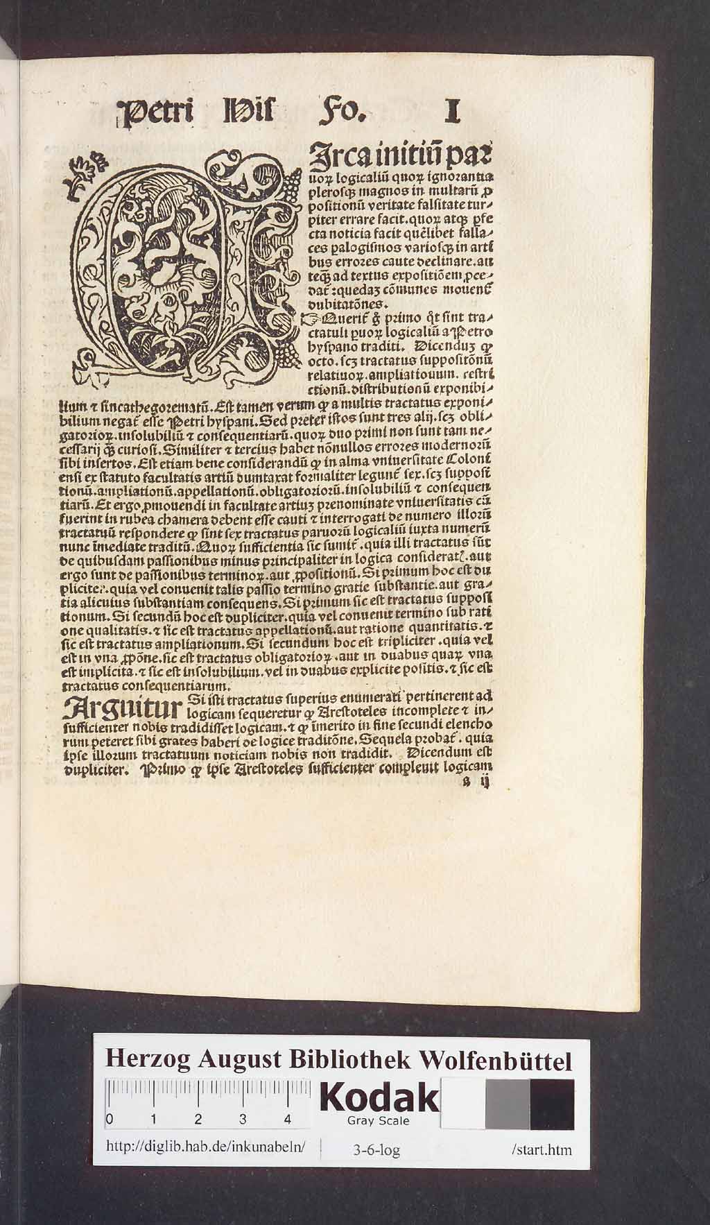 http://diglib.hab.de/inkunabeln/3-6-log/00553.jpg