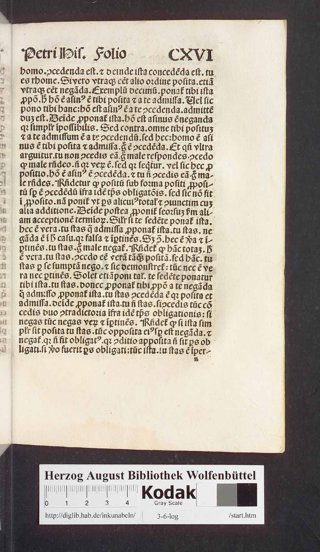 http://diglib.hab.de/inkunabeln/3-6-log/00743.jpg