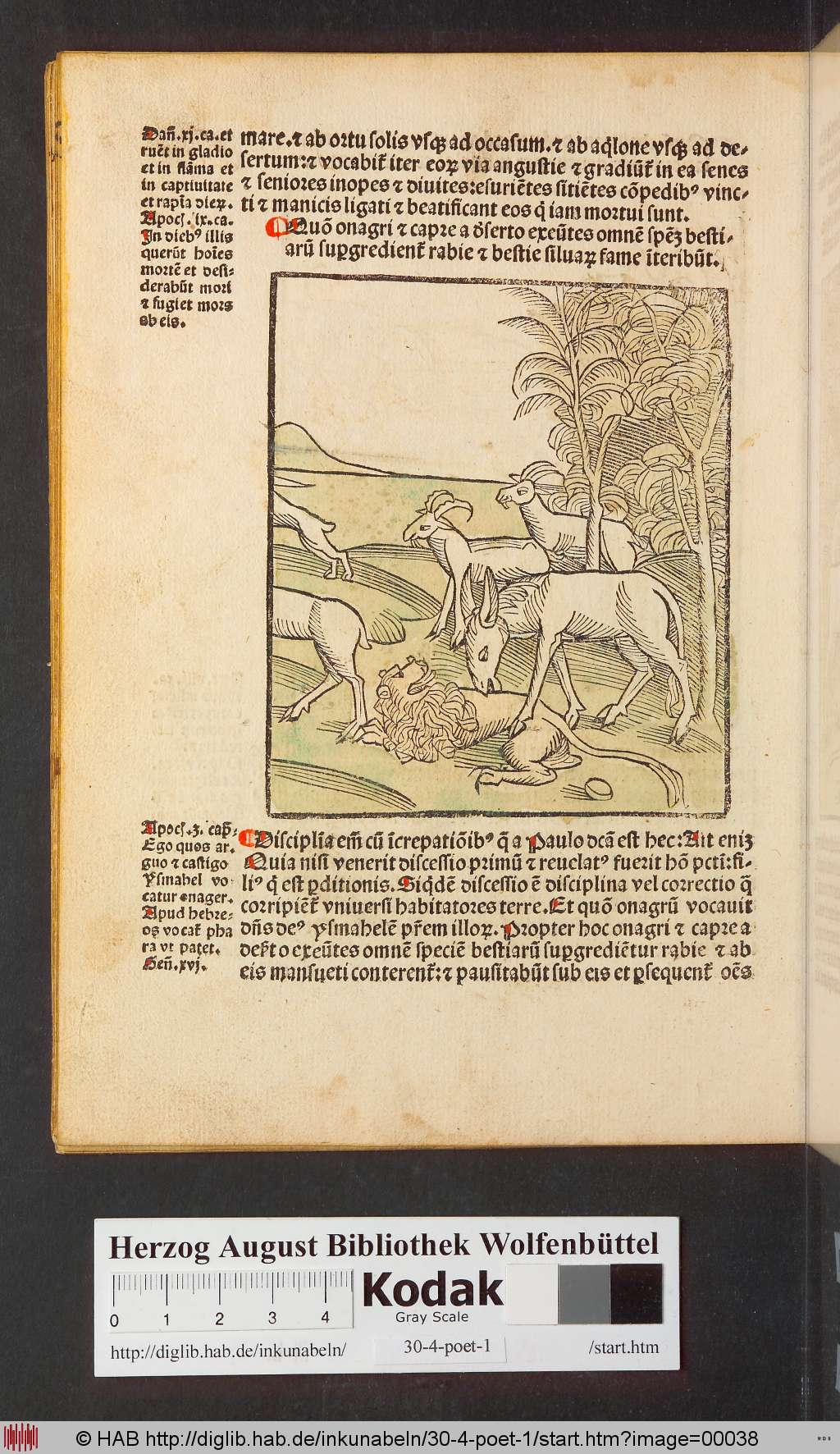 http://diglib.hab.de/inkunabeln/30-4-poet-1/00038.jpg