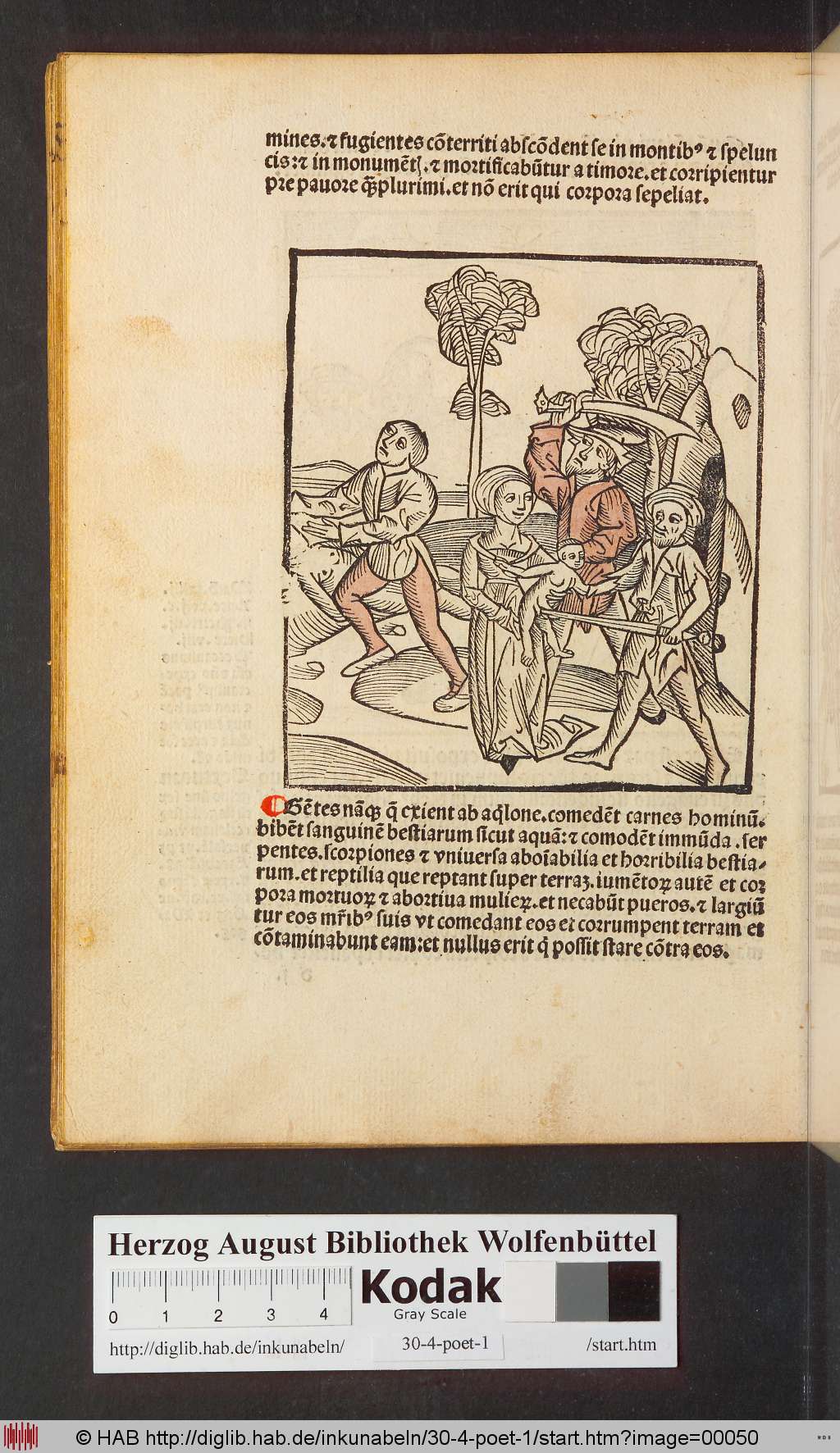 http://diglib.hab.de/inkunabeln/30-4-poet-1/00050.jpg