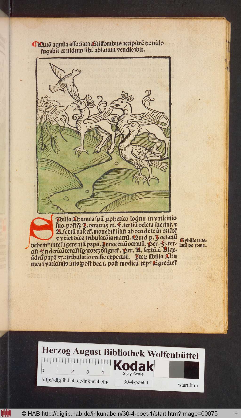 http://diglib.hab.de/inkunabeln/30-4-poet-1/00075.jpg