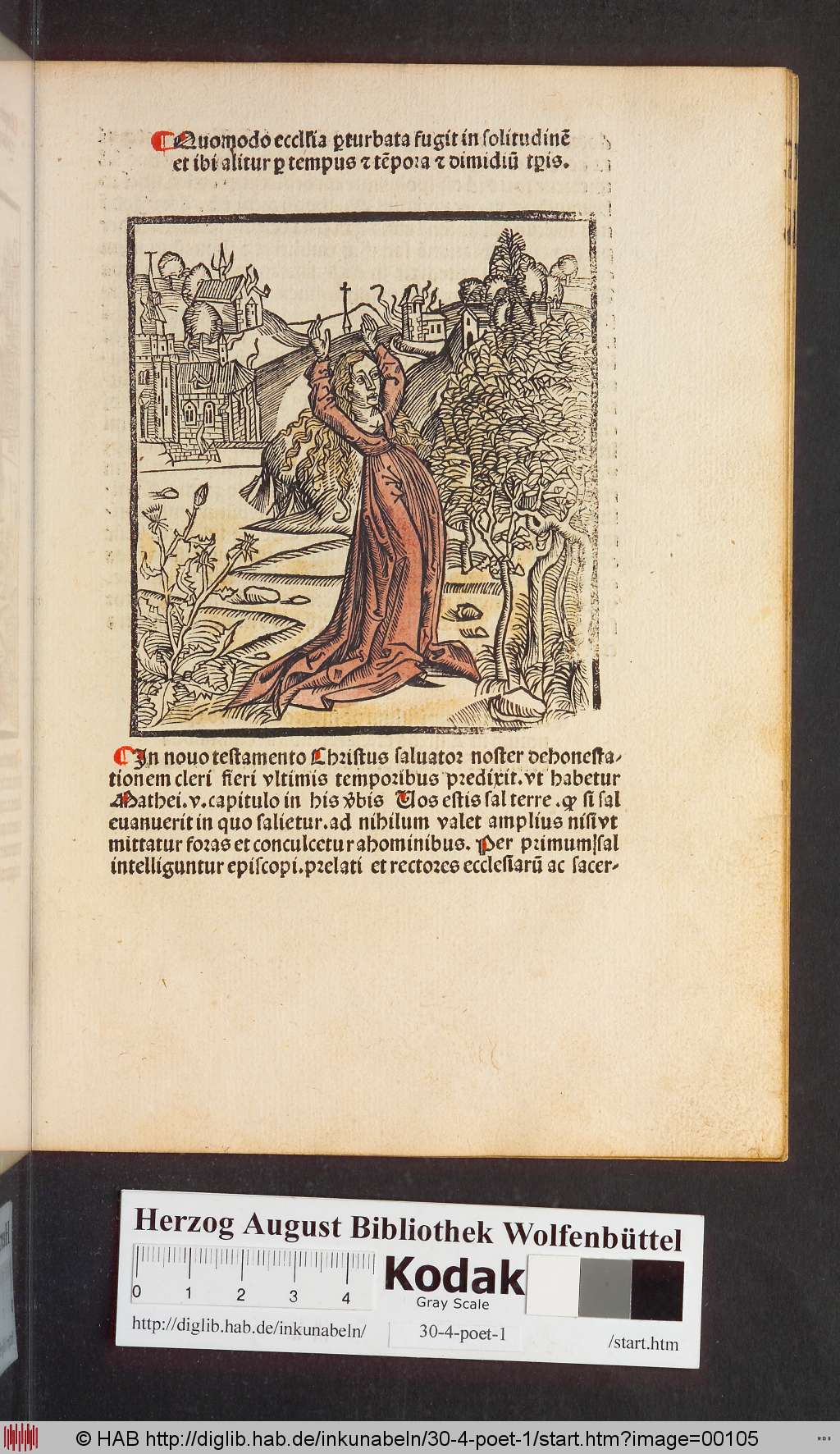 http://diglib.hab.de/inkunabeln/30-4-poet-1/00105.jpg