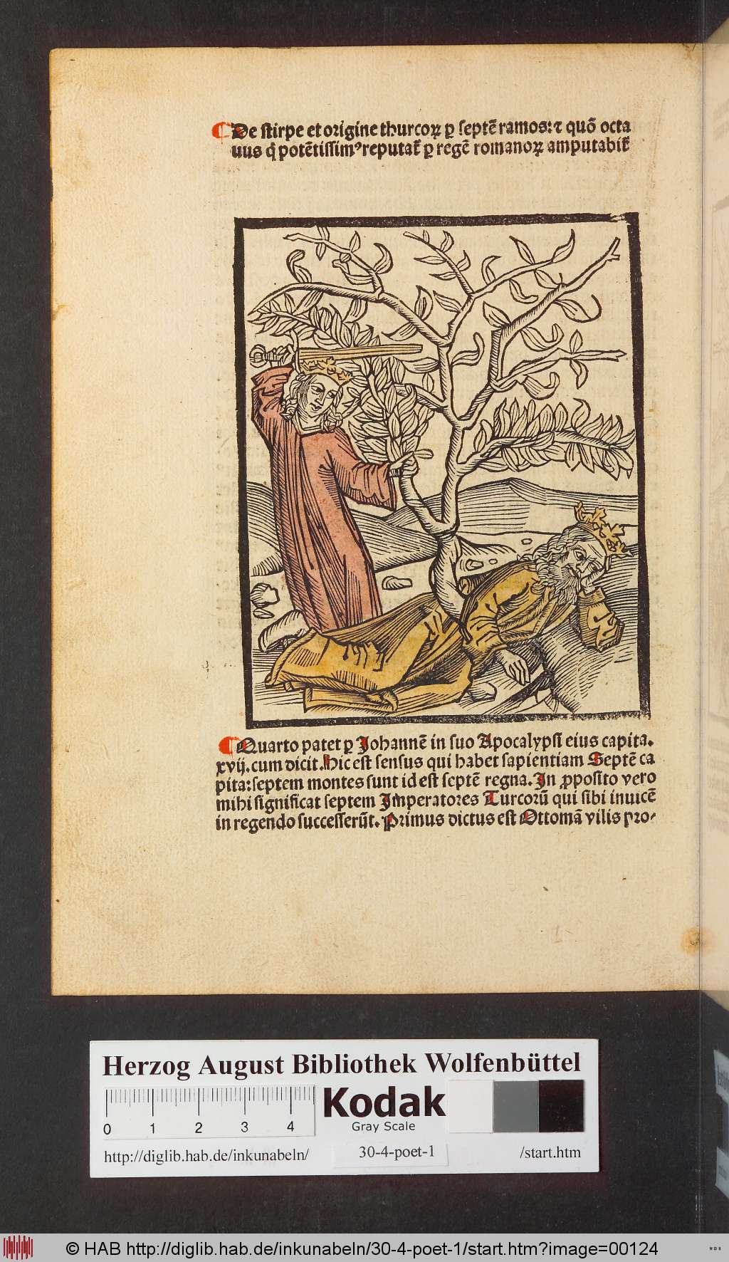 http://diglib.hab.de/inkunabeln/30-4-poet-1/00124.jpg
