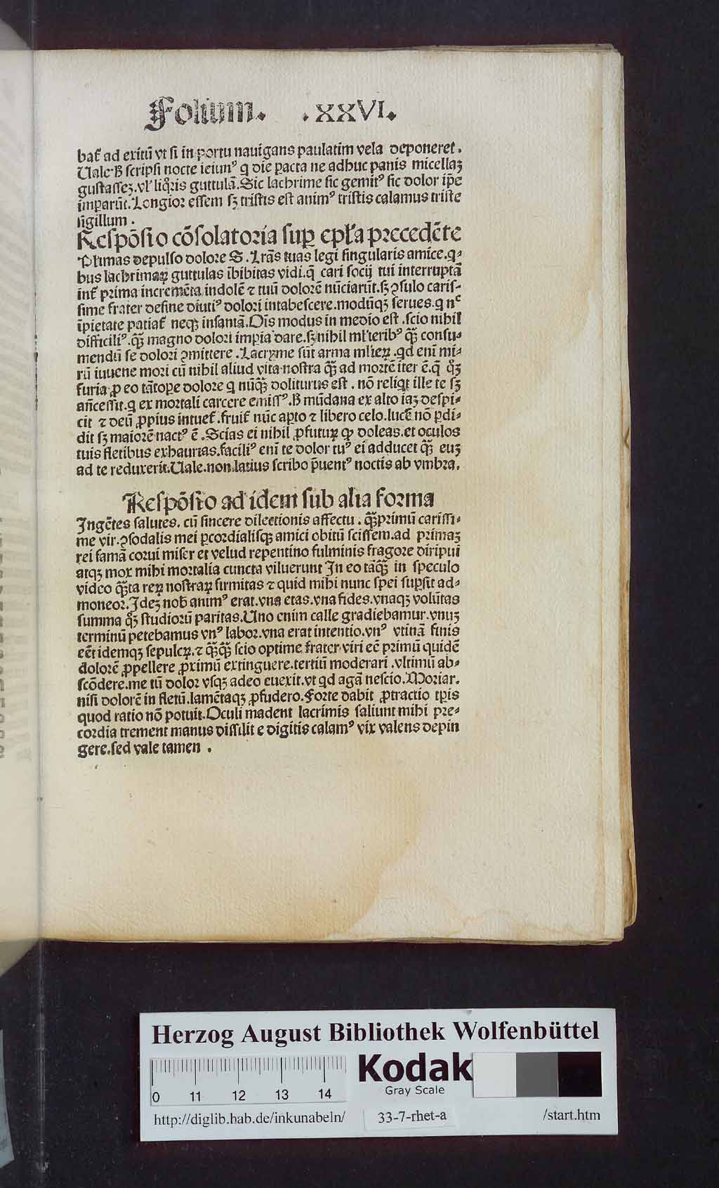 http://diglib.hab.de/inkunabeln/33-7-rhet-a/00067.jpg