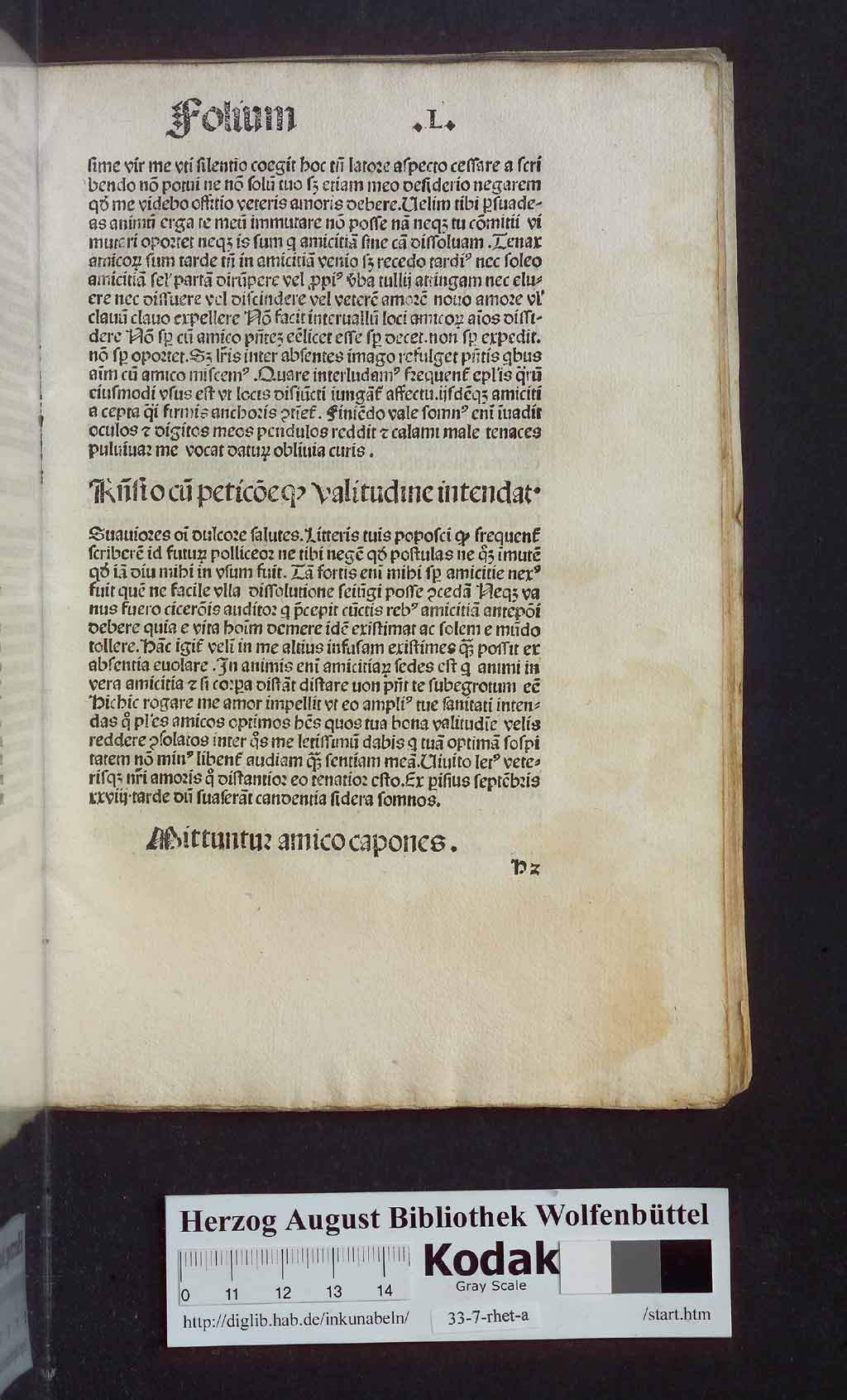 http://diglib.hab.de/inkunabeln/33-7-rhet-a/00115.jpg