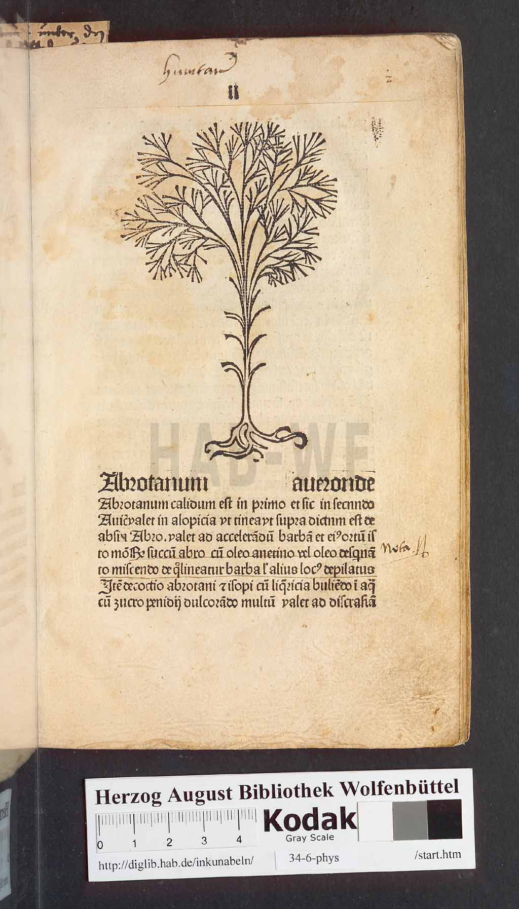 http://diglib.hab.de/inkunabeln/34-6-phys/00007.jpg