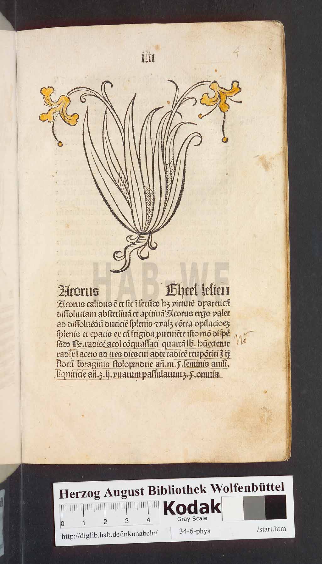 http://diglib.hab.de/inkunabeln/34-6-phys/00011.jpg