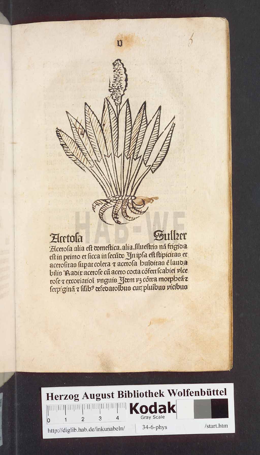 http://diglib.hab.de/inkunabeln/34-6-phys/00013.jpg