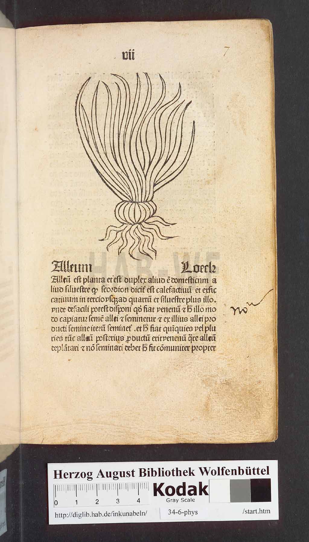 http://diglib.hab.de/inkunabeln/34-6-phys/00017.jpg