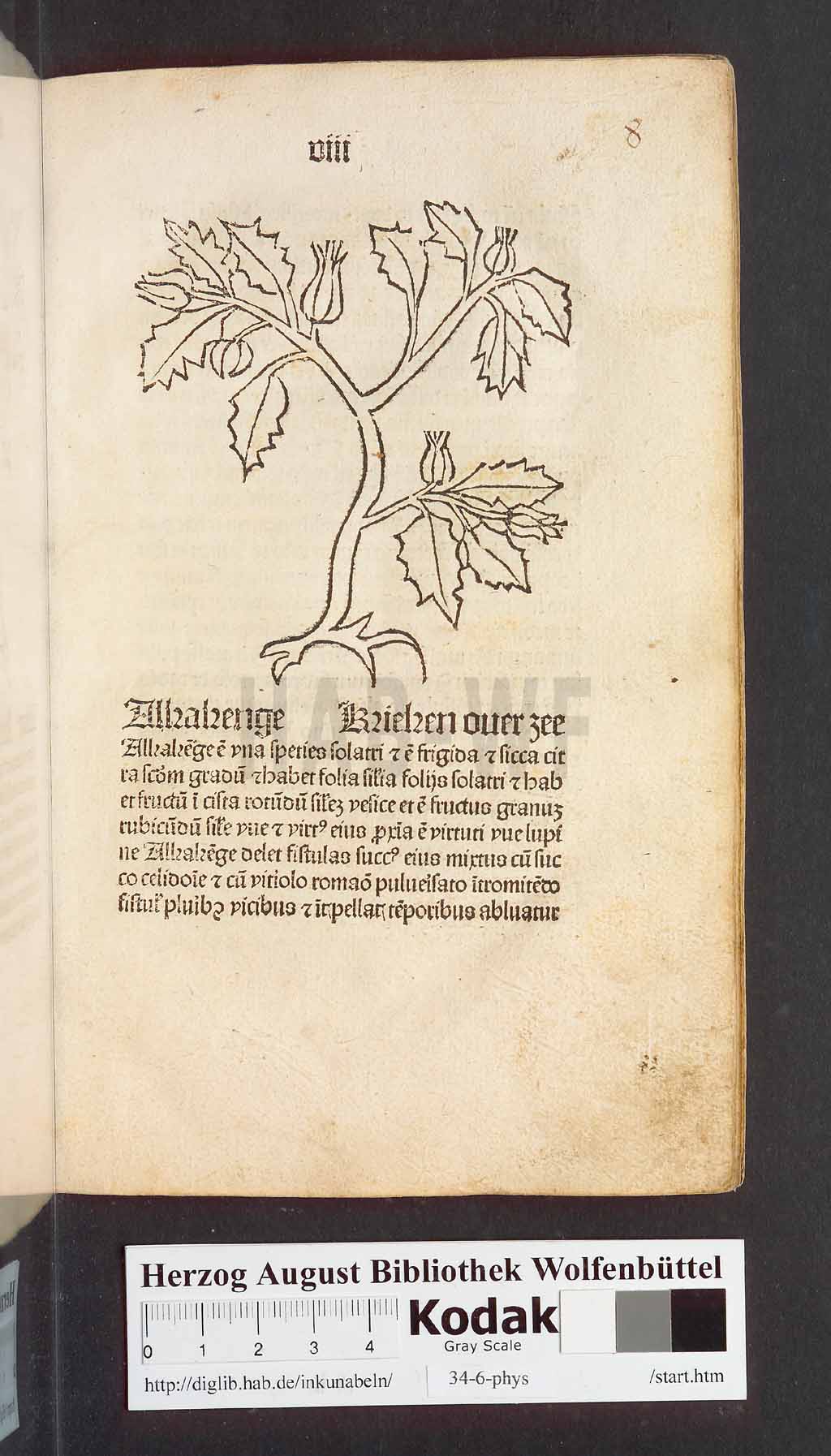 http://diglib.hab.de/inkunabeln/34-6-phys/00019.jpg