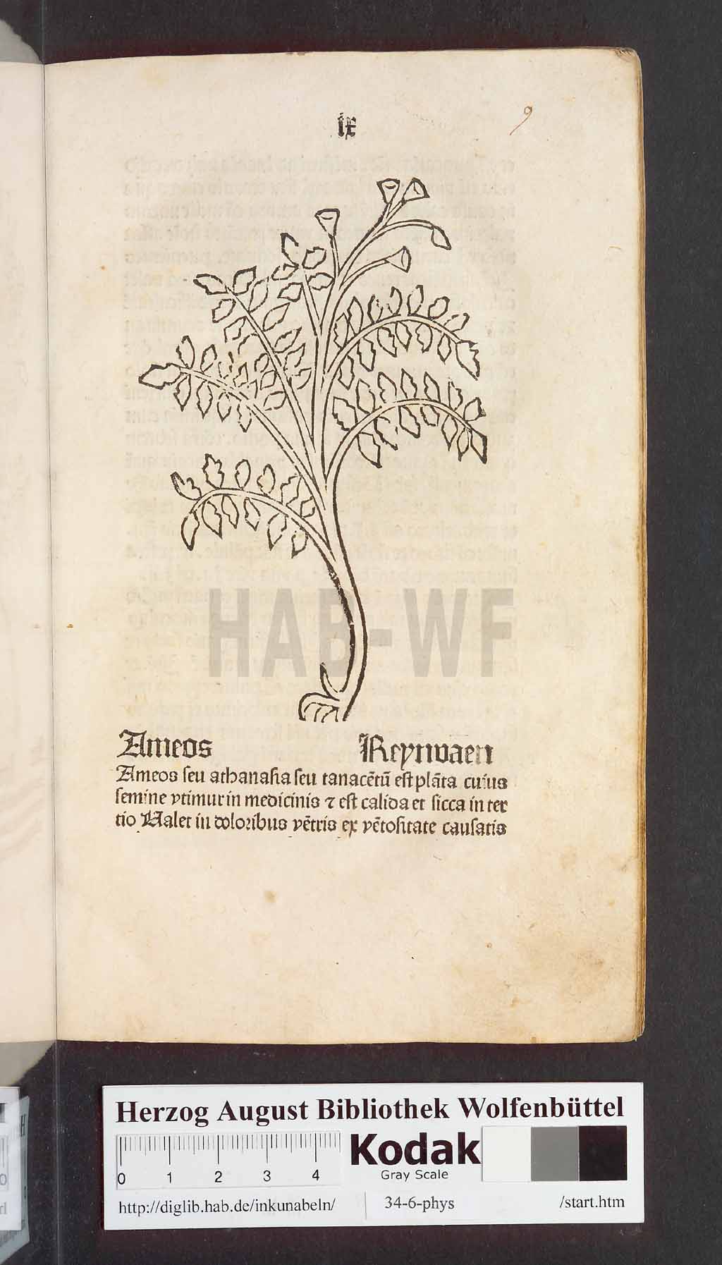 http://diglib.hab.de/inkunabeln/34-6-phys/00021.jpg