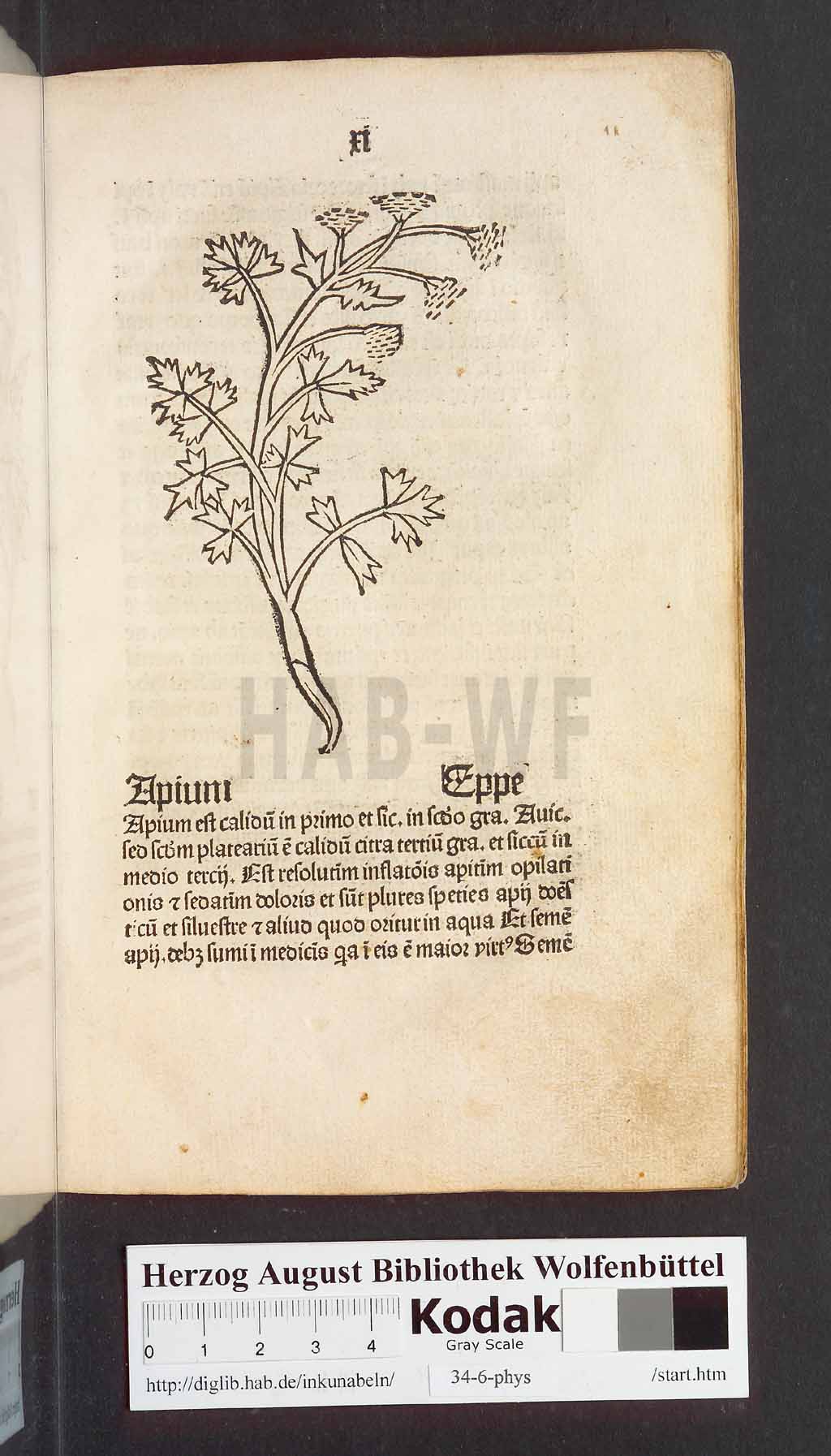 http://diglib.hab.de/inkunabeln/34-6-phys/00025.jpg