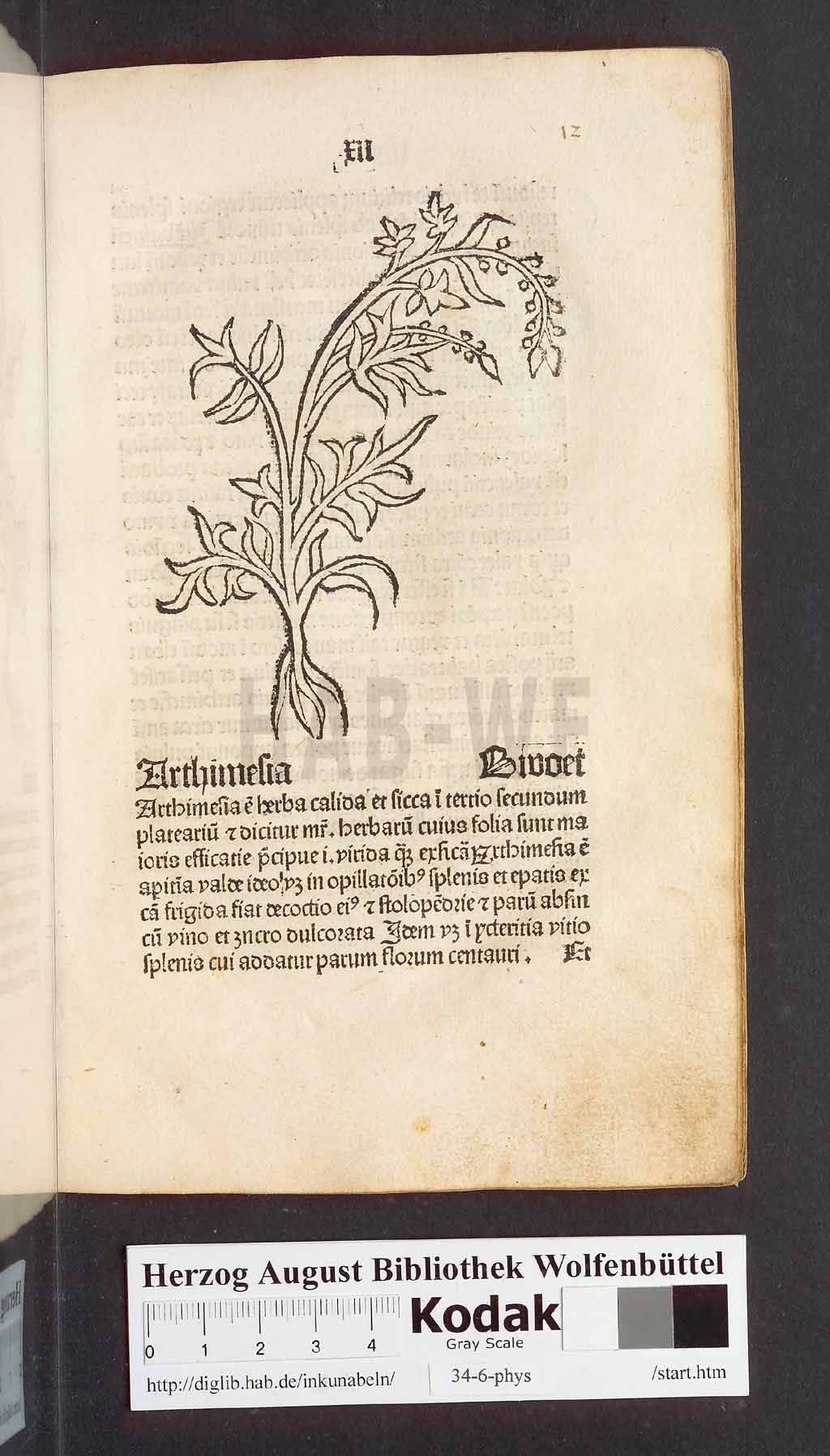 http://diglib.hab.de/inkunabeln/34-6-phys/00027.jpg