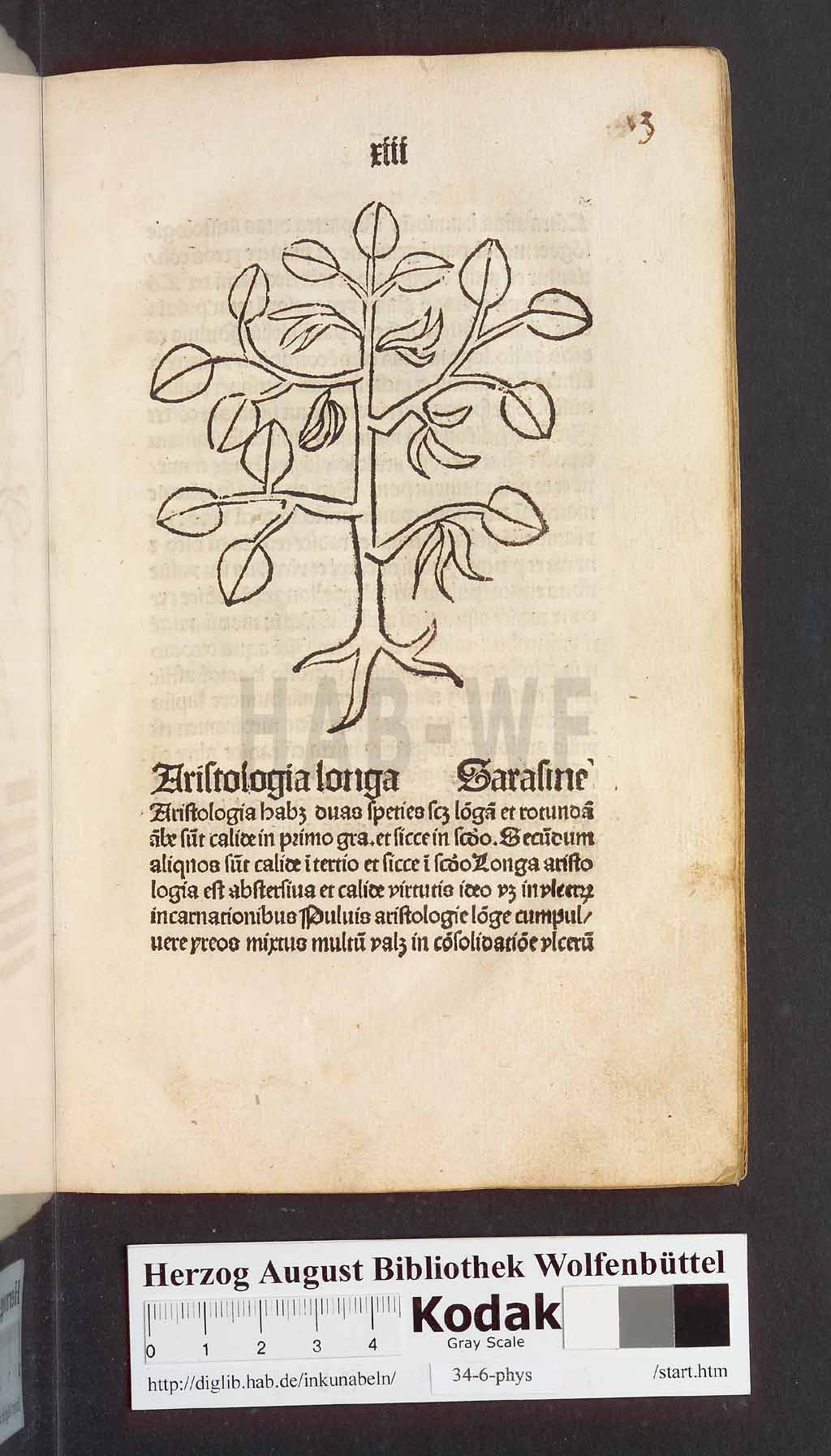 http://diglib.hab.de/inkunabeln/34-6-phys/00029.jpg