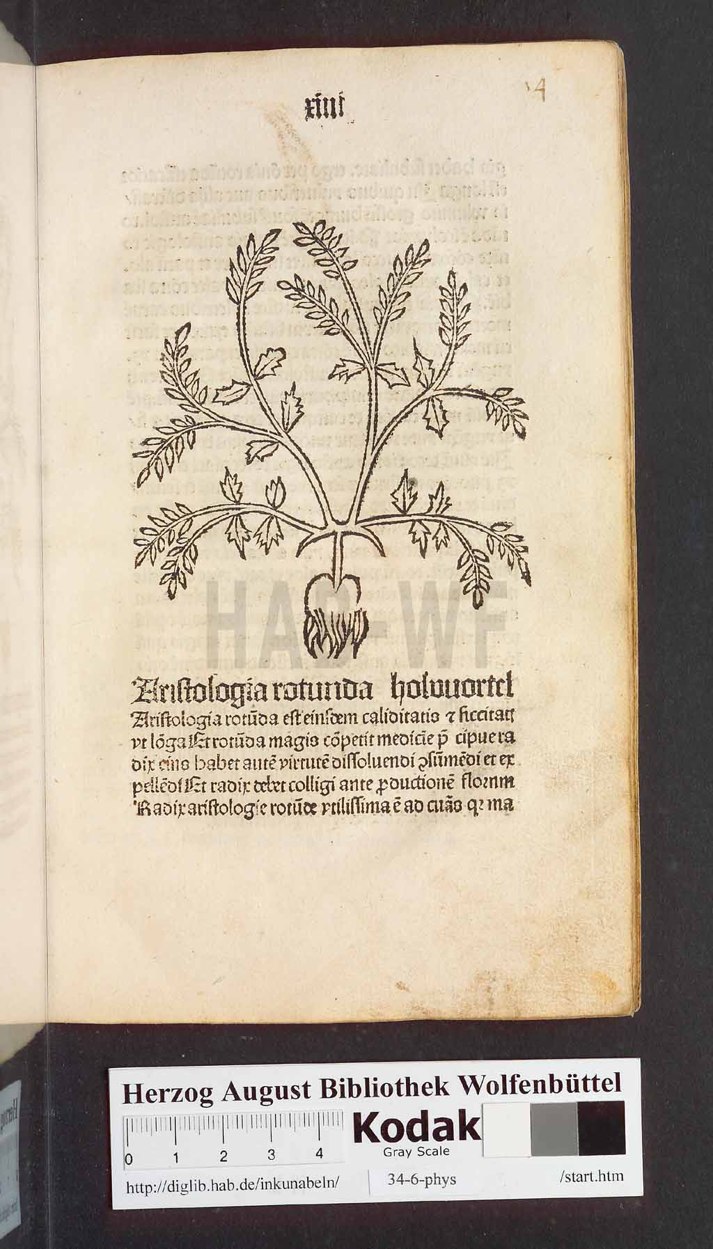 http://diglib.hab.de/inkunabeln/34-6-phys/00031.jpg