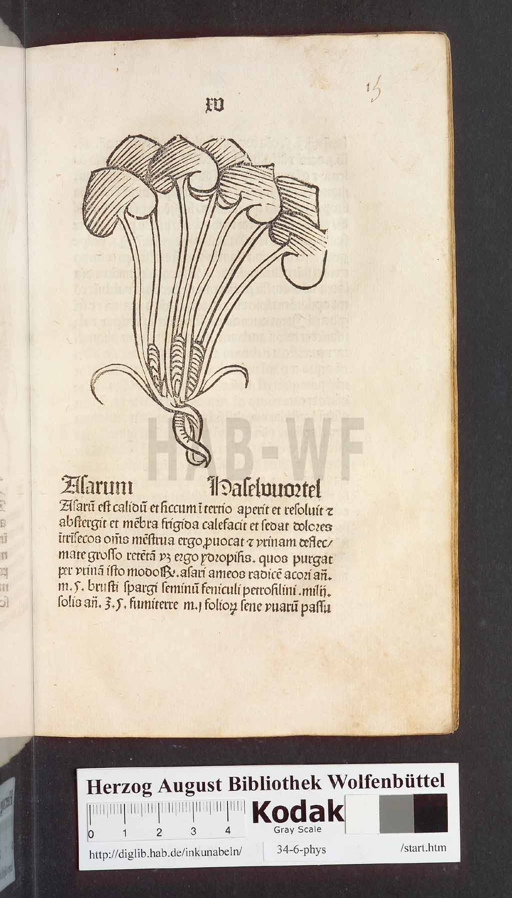 http://diglib.hab.de/inkunabeln/34-6-phys/00033.jpg