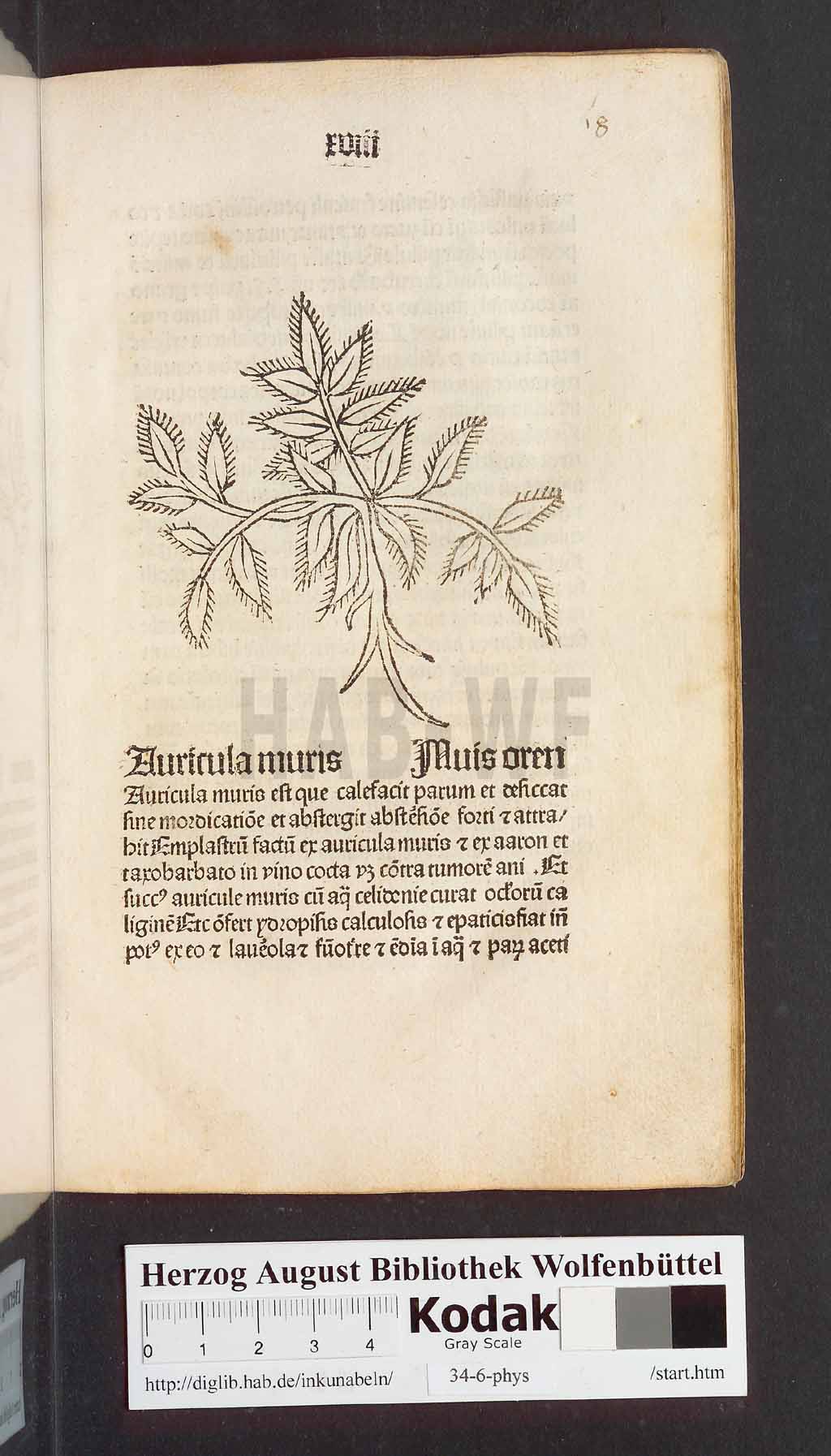 http://diglib.hab.de/inkunabeln/34-6-phys/00039.jpg