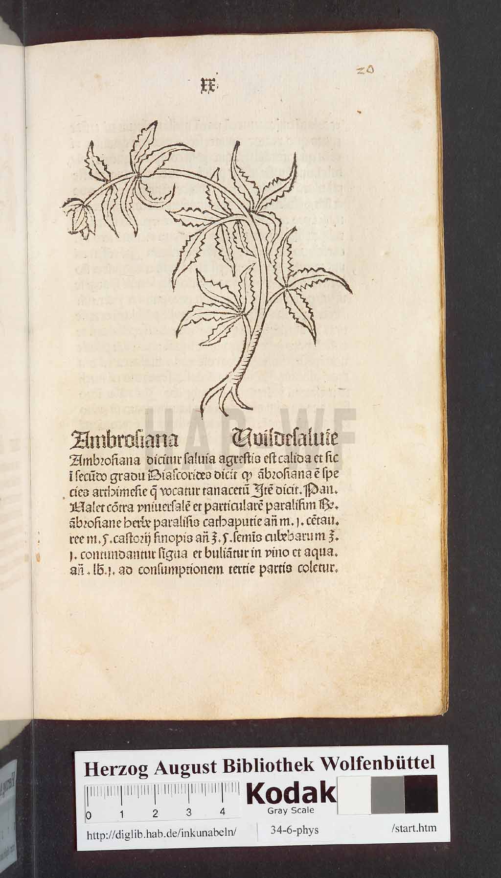 http://diglib.hab.de/inkunabeln/34-6-phys/00043.jpg
