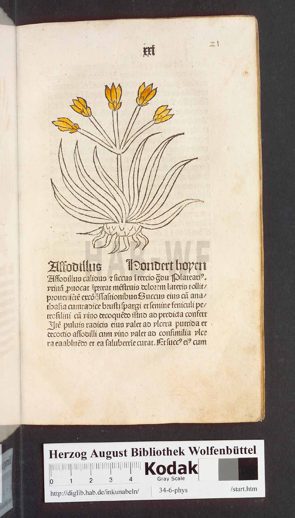 http://diglib.hab.de/inkunabeln/34-6-phys/00045.jpg