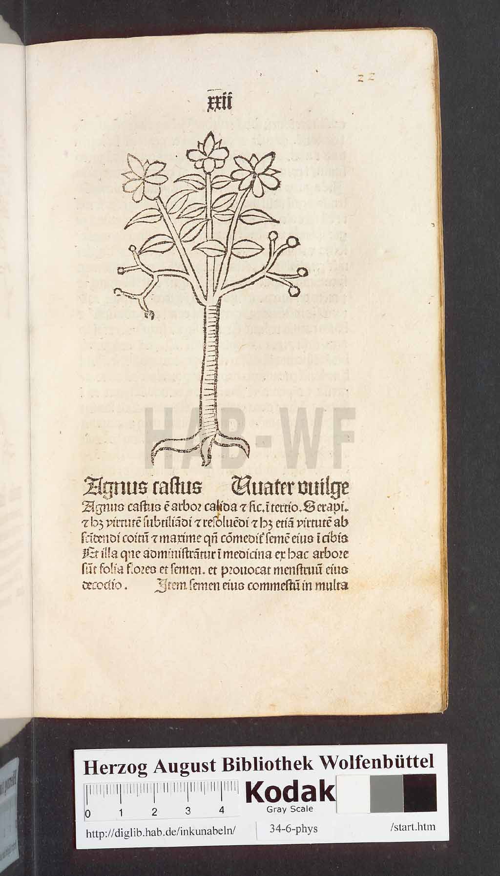 http://diglib.hab.de/inkunabeln/34-6-phys/00047.jpg