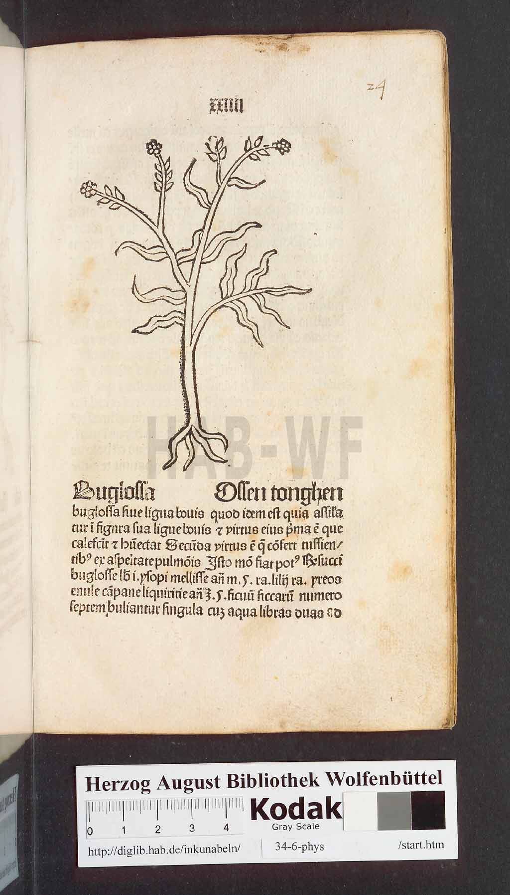 http://diglib.hab.de/inkunabeln/34-6-phys/00051.jpg