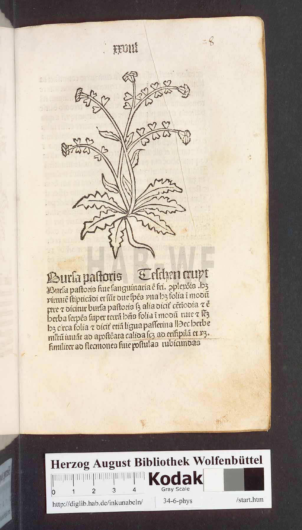 http://diglib.hab.de/inkunabeln/34-6-phys/00059.jpg