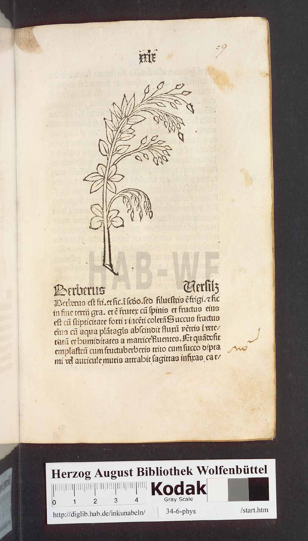 http://diglib.hab.de/inkunabeln/34-6-phys/00061.jpg
