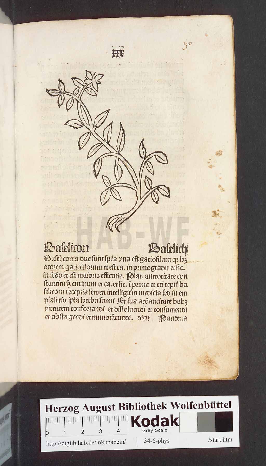 http://diglib.hab.de/inkunabeln/34-6-phys/00063.jpg