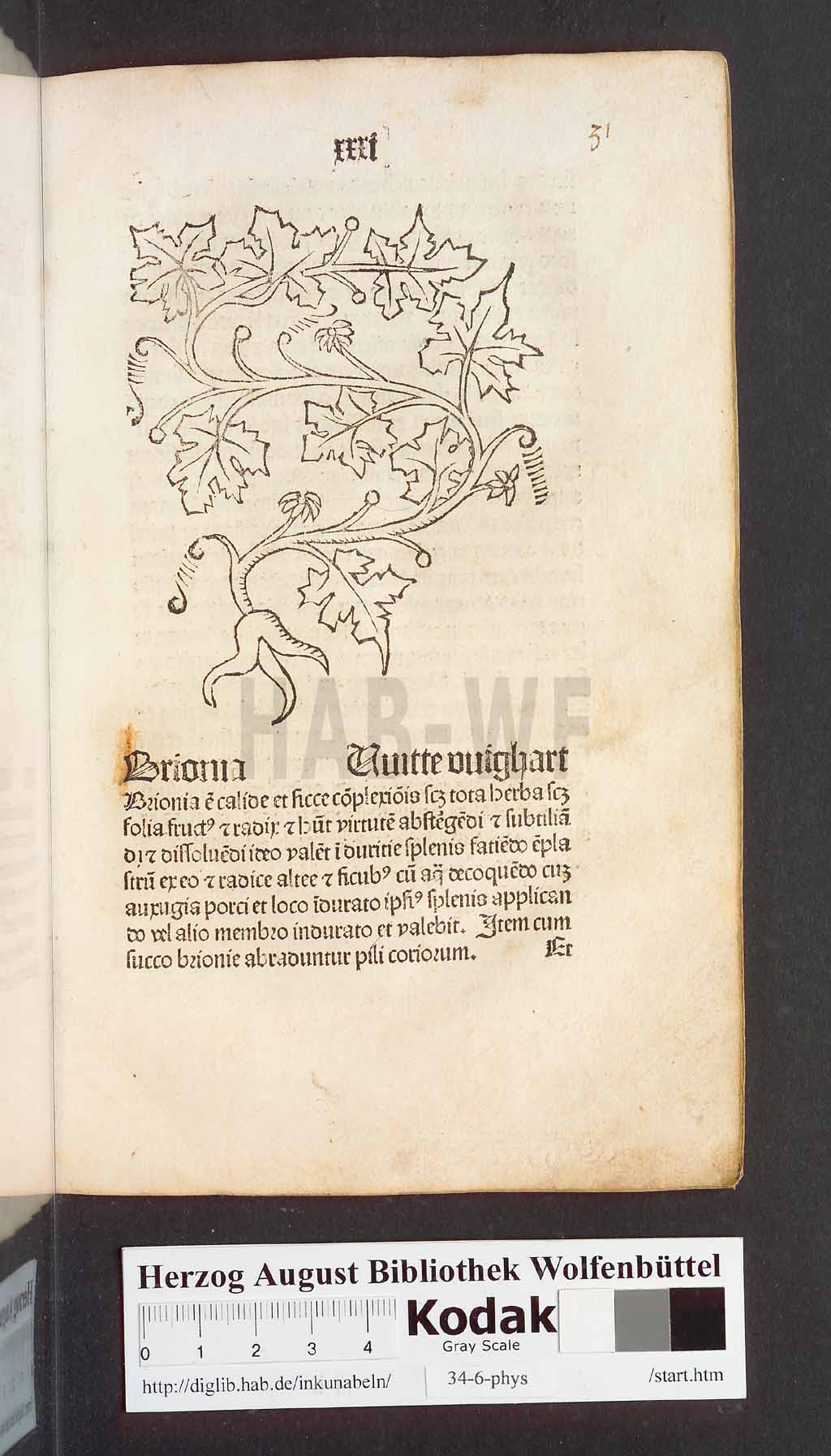 http://diglib.hab.de/inkunabeln/34-6-phys/00065.jpg