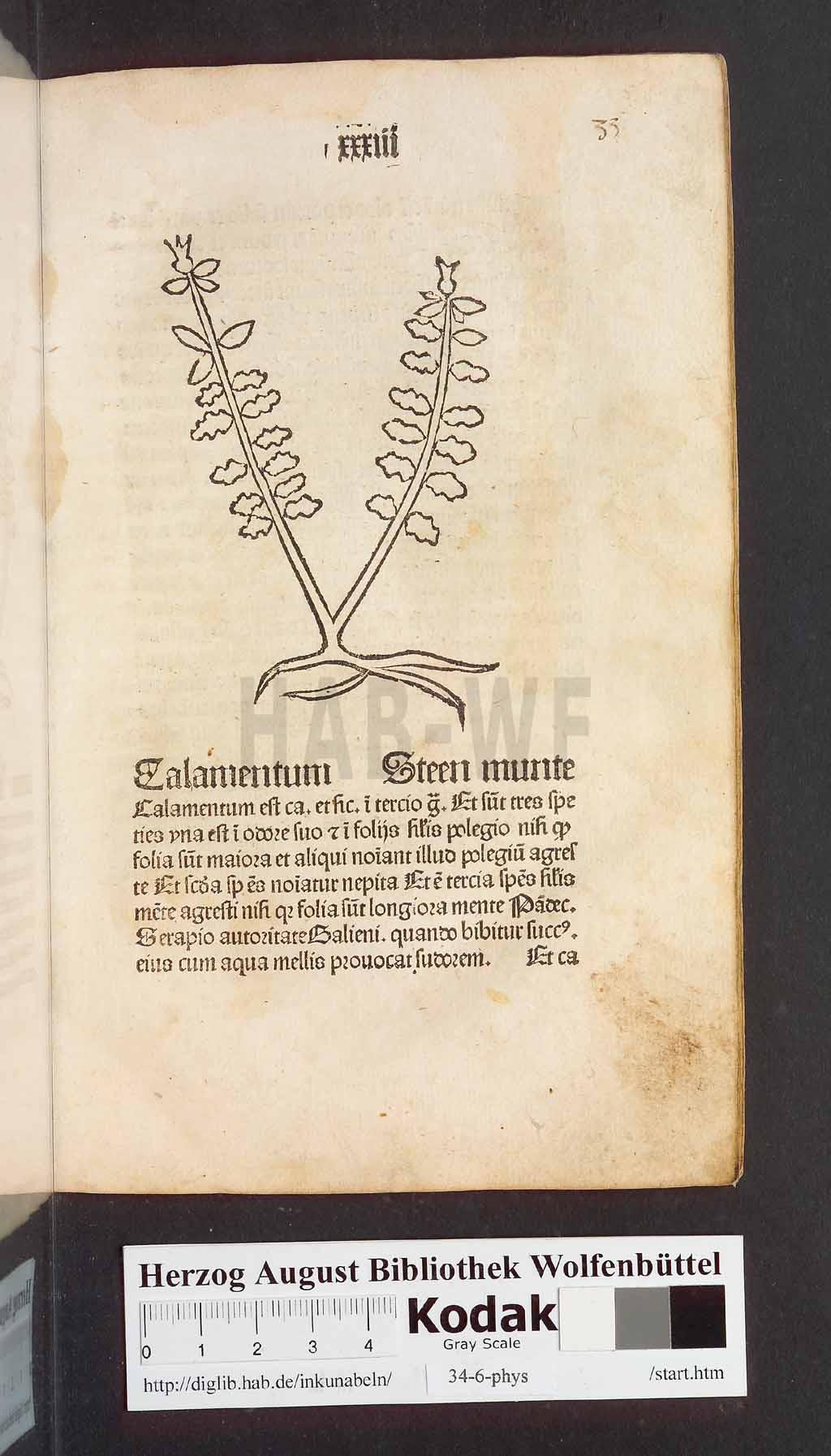 http://diglib.hab.de/inkunabeln/34-6-phys/00069.jpg
