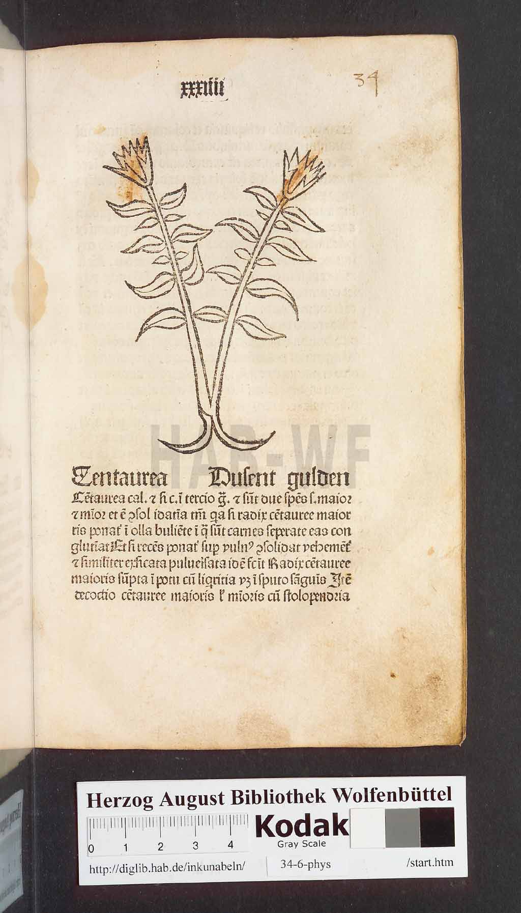 http://diglib.hab.de/inkunabeln/34-6-phys/00071.jpg