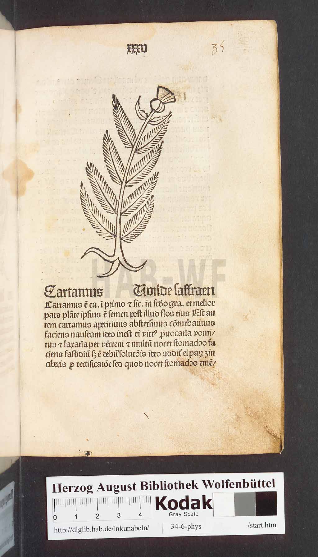 http://diglib.hab.de/inkunabeln/34-6-phys/00073.jpg