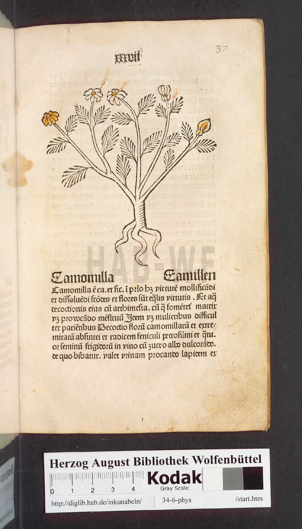 http://diglib.hab.de/inkunabeln/34-6-phys/00077.jpg