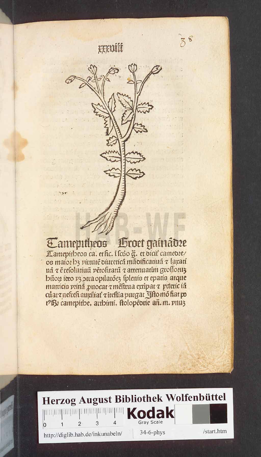 http://diglib.hab.de/inkunabeln/34-6-phys/00079.jpg