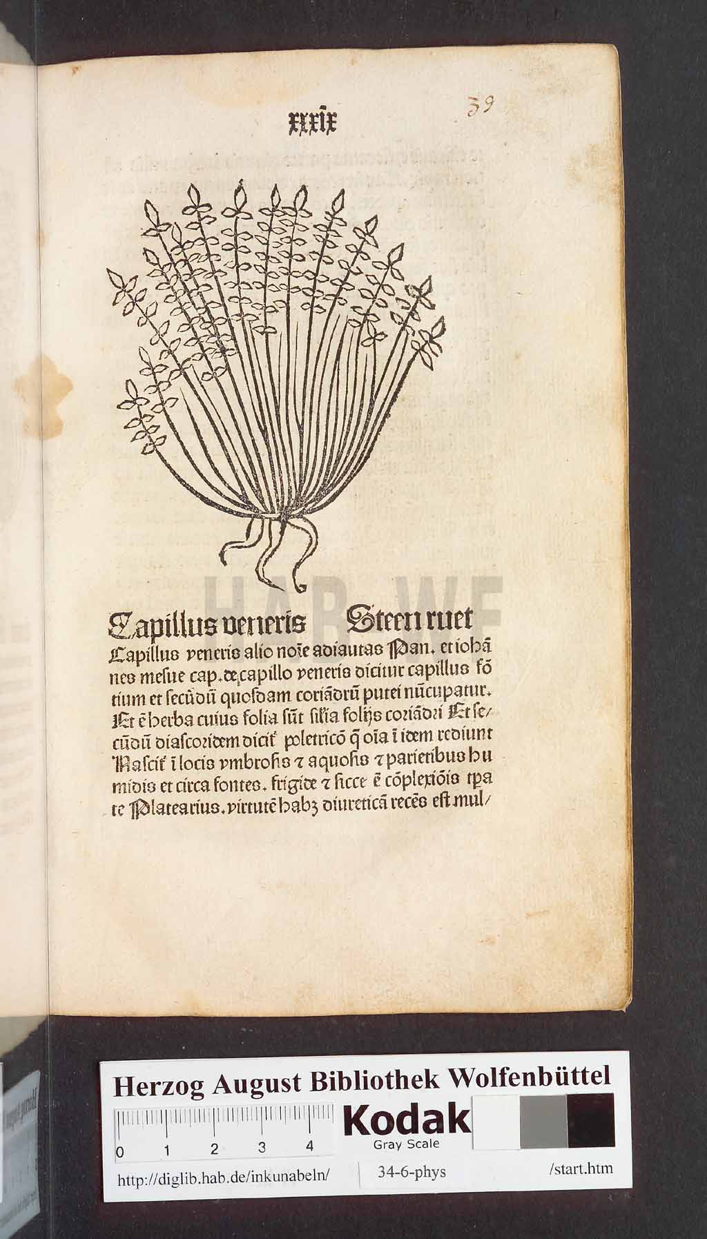 http://diglib.hab.de/inkunabeln/34-6-phys/00081.jpg